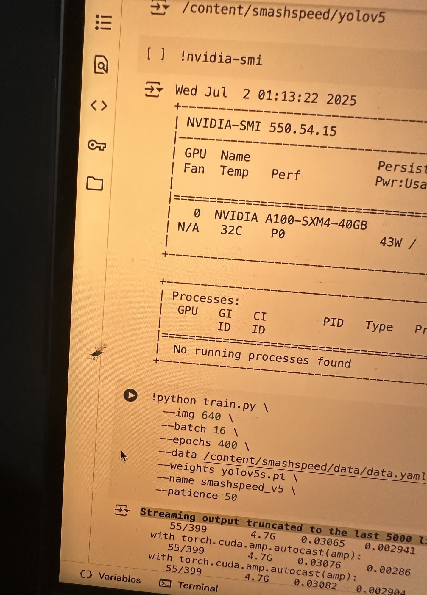 A late-night training run in Colab on 2 July 2025: 400 epochs queued on an A100, a mosquito on the screen