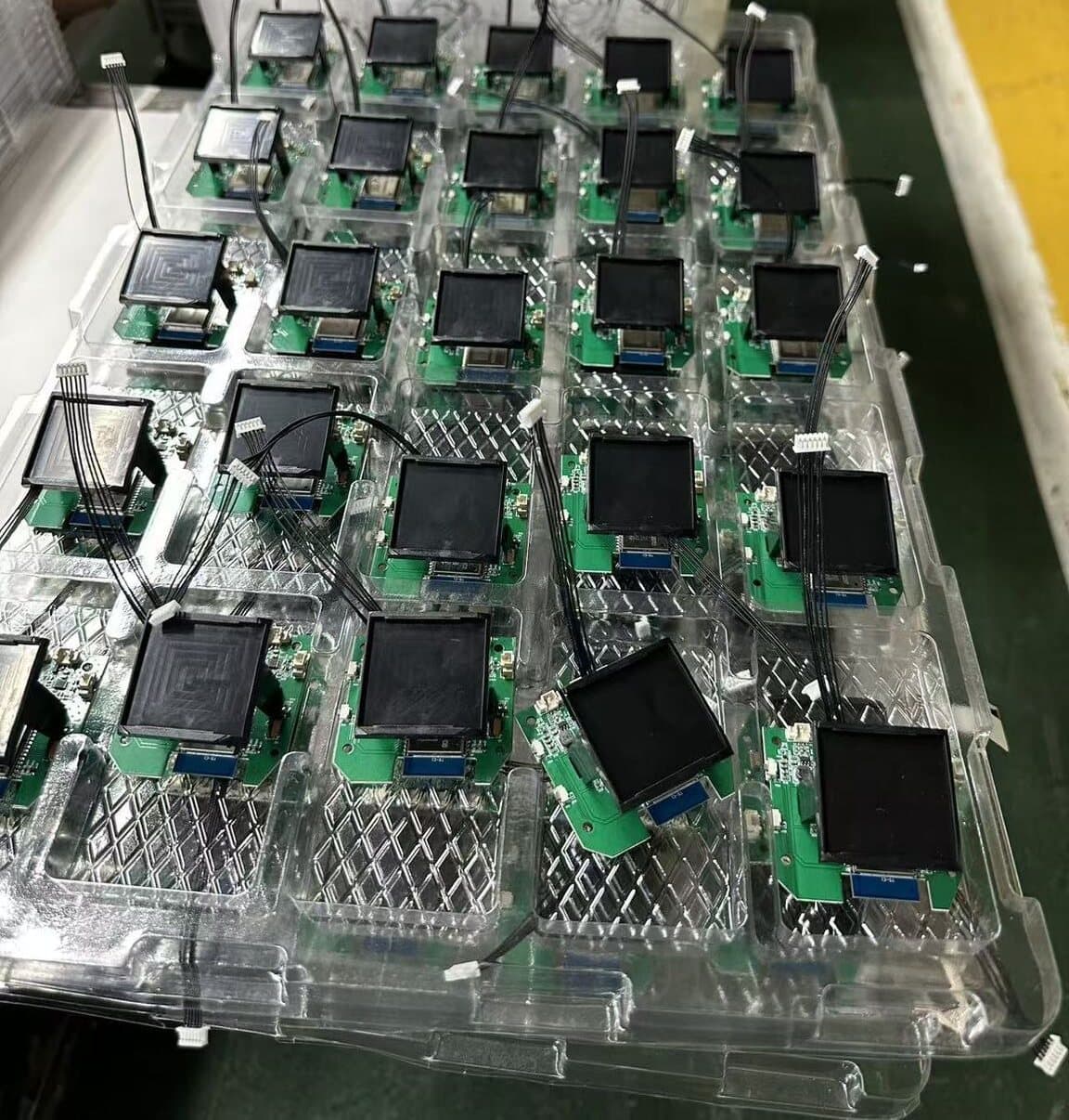 Seed boards with their OLED faces attached, trayed for assembly at Eastcolight